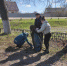 Субботник отменили, но уборку провели (ФОТО) - Богородицкие вести