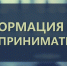 Вебинар «Актуальная информация для самозанятых» - Богородицкий район