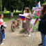 Флаг державы – символ славы - Межпоселенческая районная библиотека